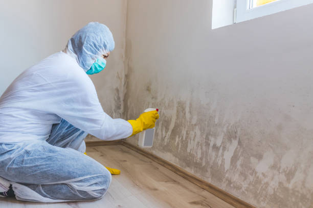 Bathroom Mold Removal assessment in Linden bathroom