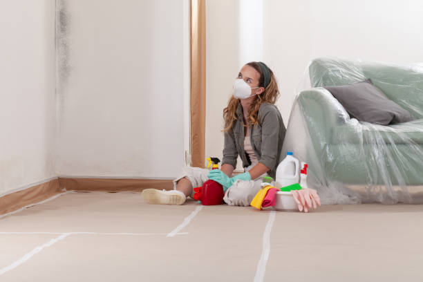Mold Remediation service in Linden, Linden, MI
